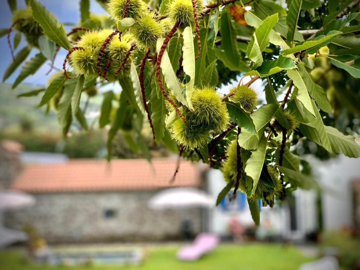 Casa Do Acor - Villaverde Azores Feteiras Eksteriør bilde