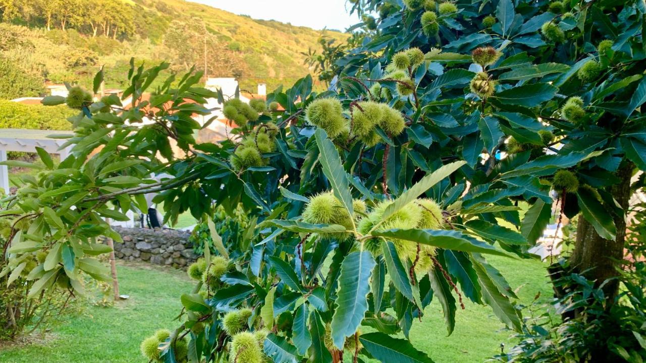 Casa Do Acor - Villaverde Azores Feteiras Eksteriør bilde